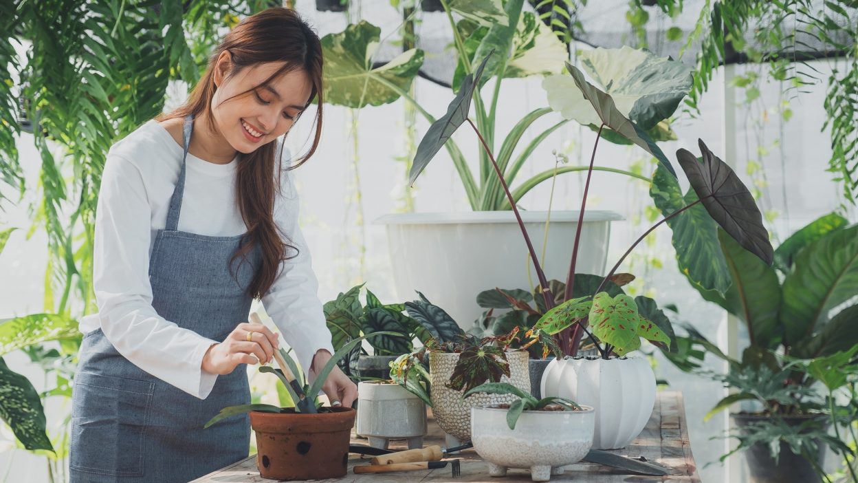 Home gardening, love of plants and care. Small business.